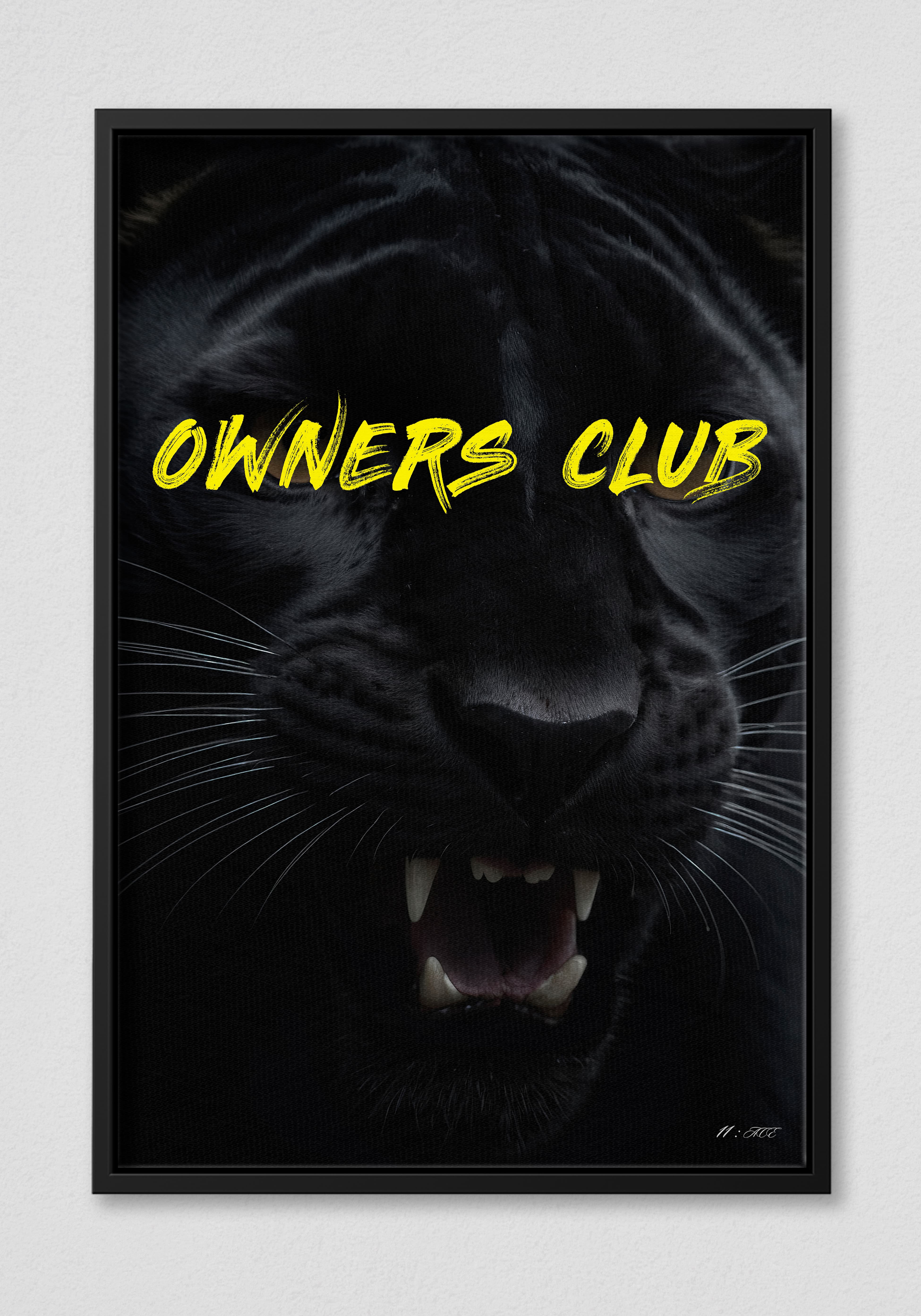 Owners Club & Ringside V.1