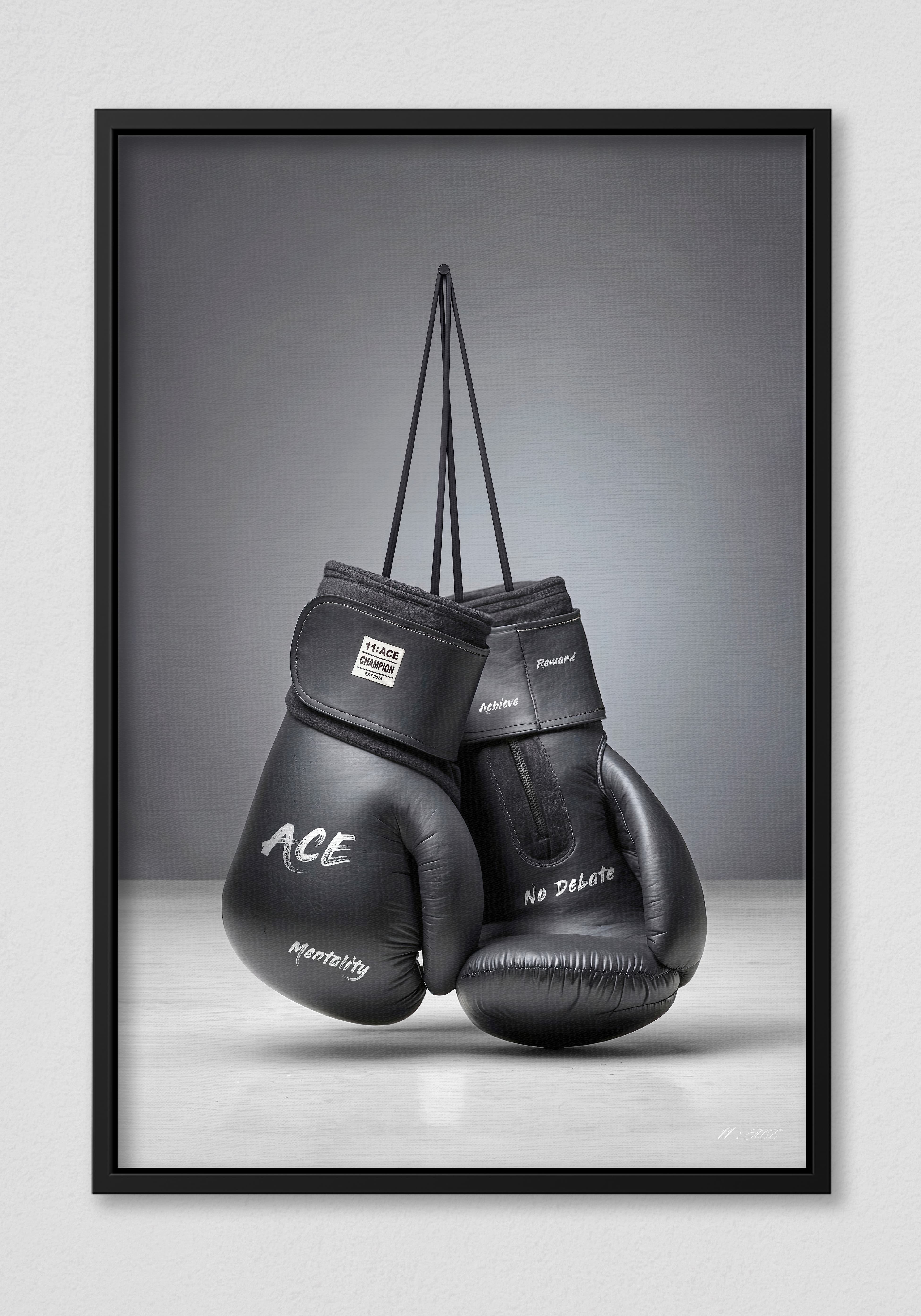 Ringside V.2 & Ball V.2