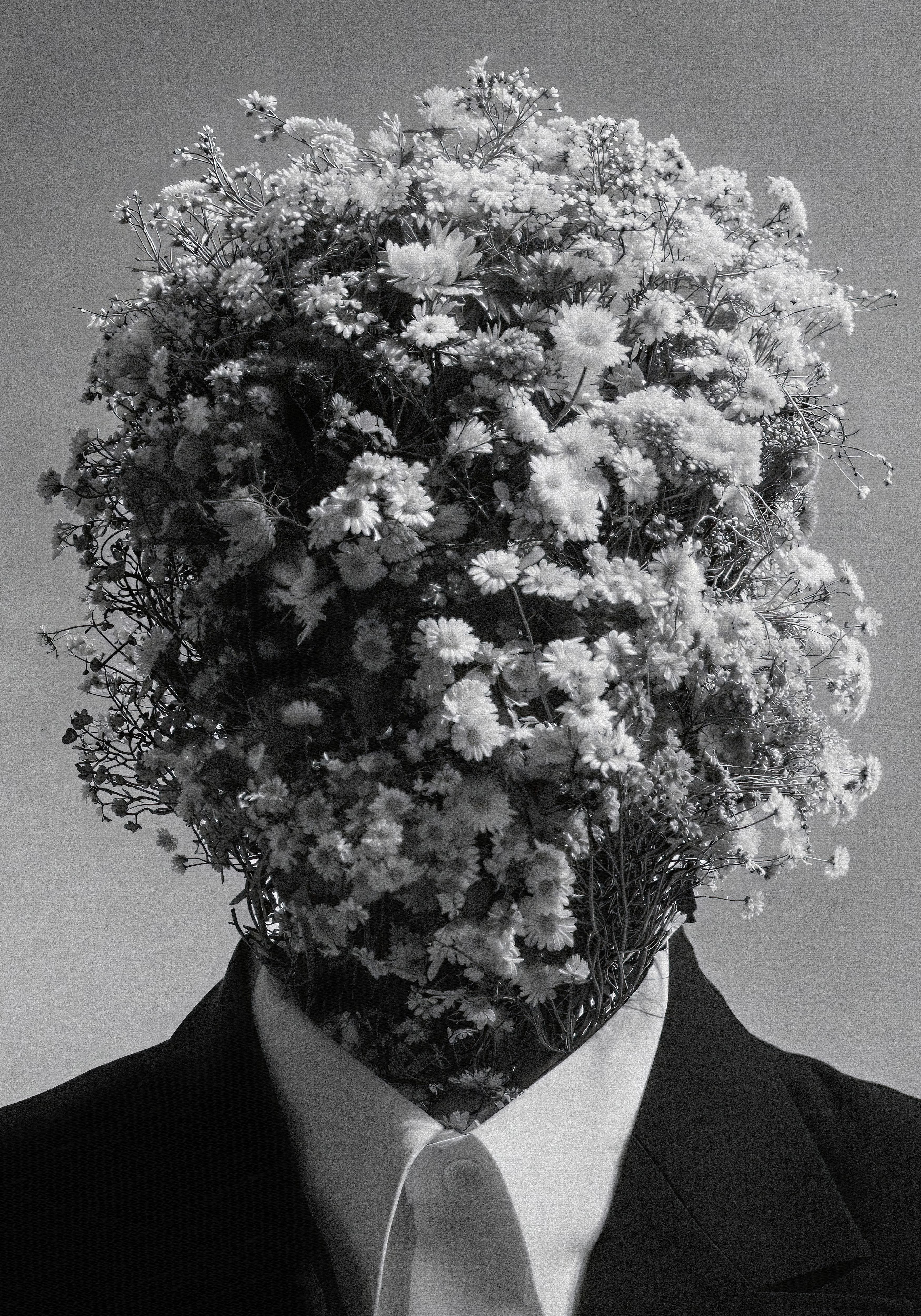 Bloom V.2