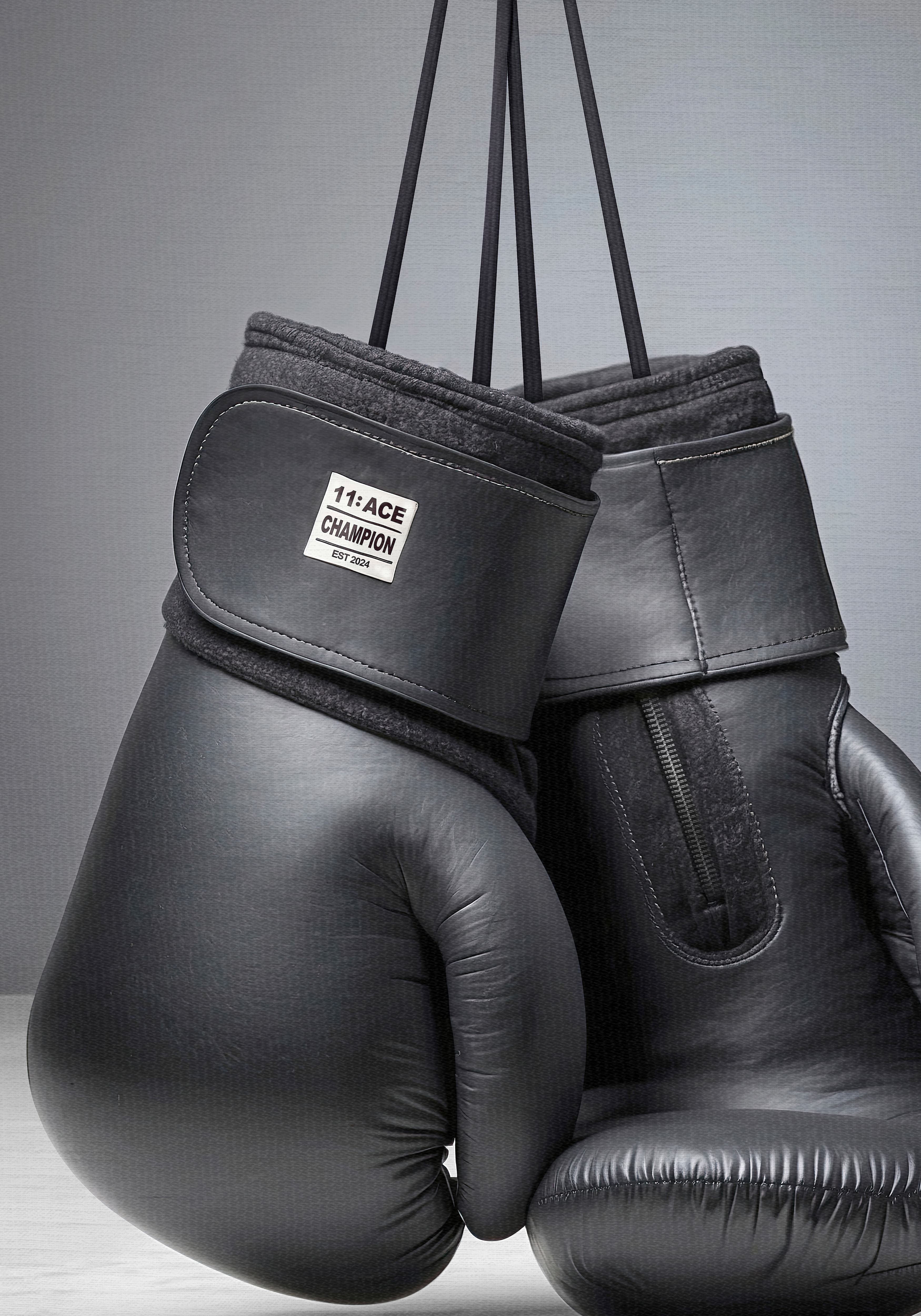Ringside V.1