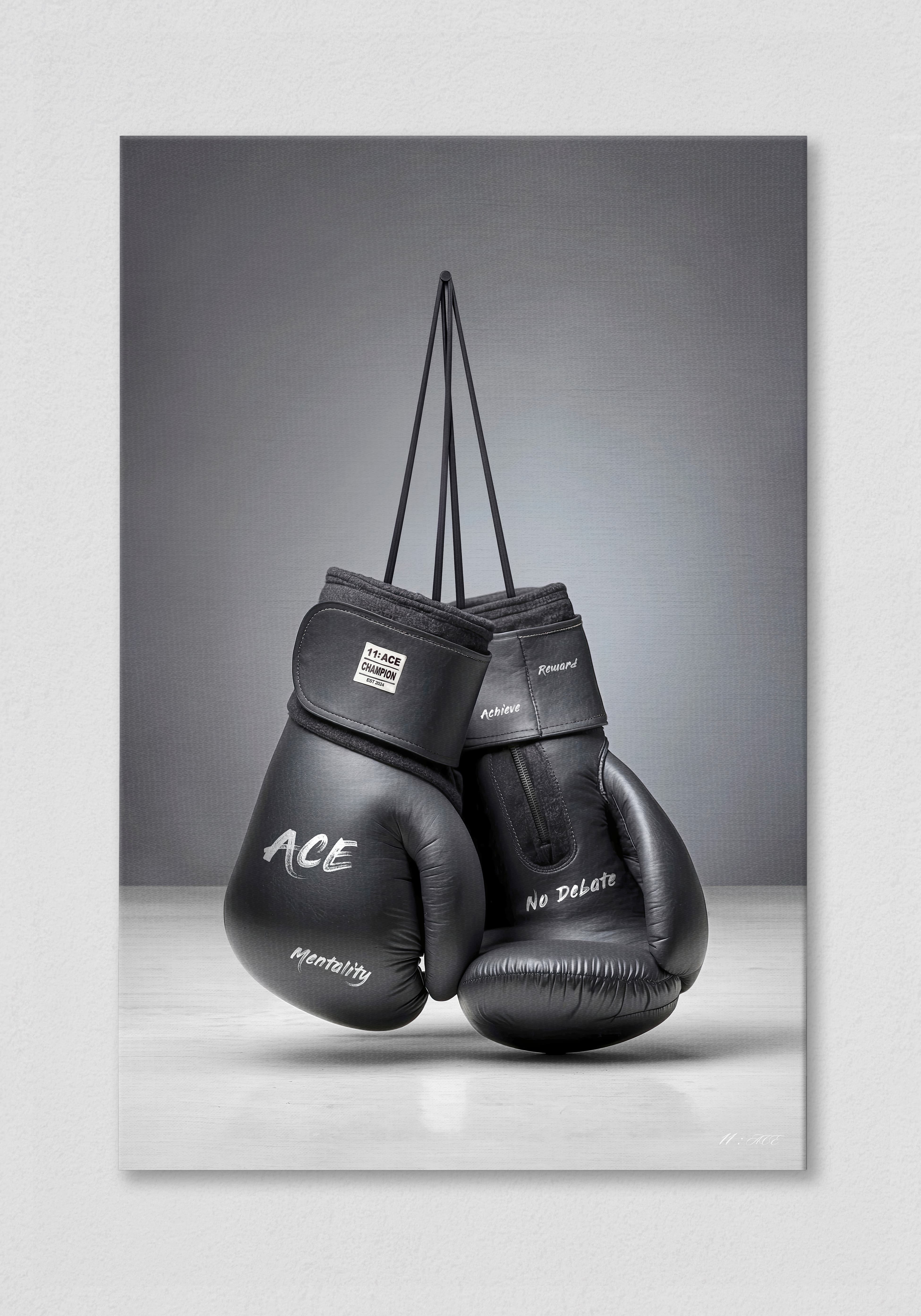 Ringside V.2 & Ball V.2