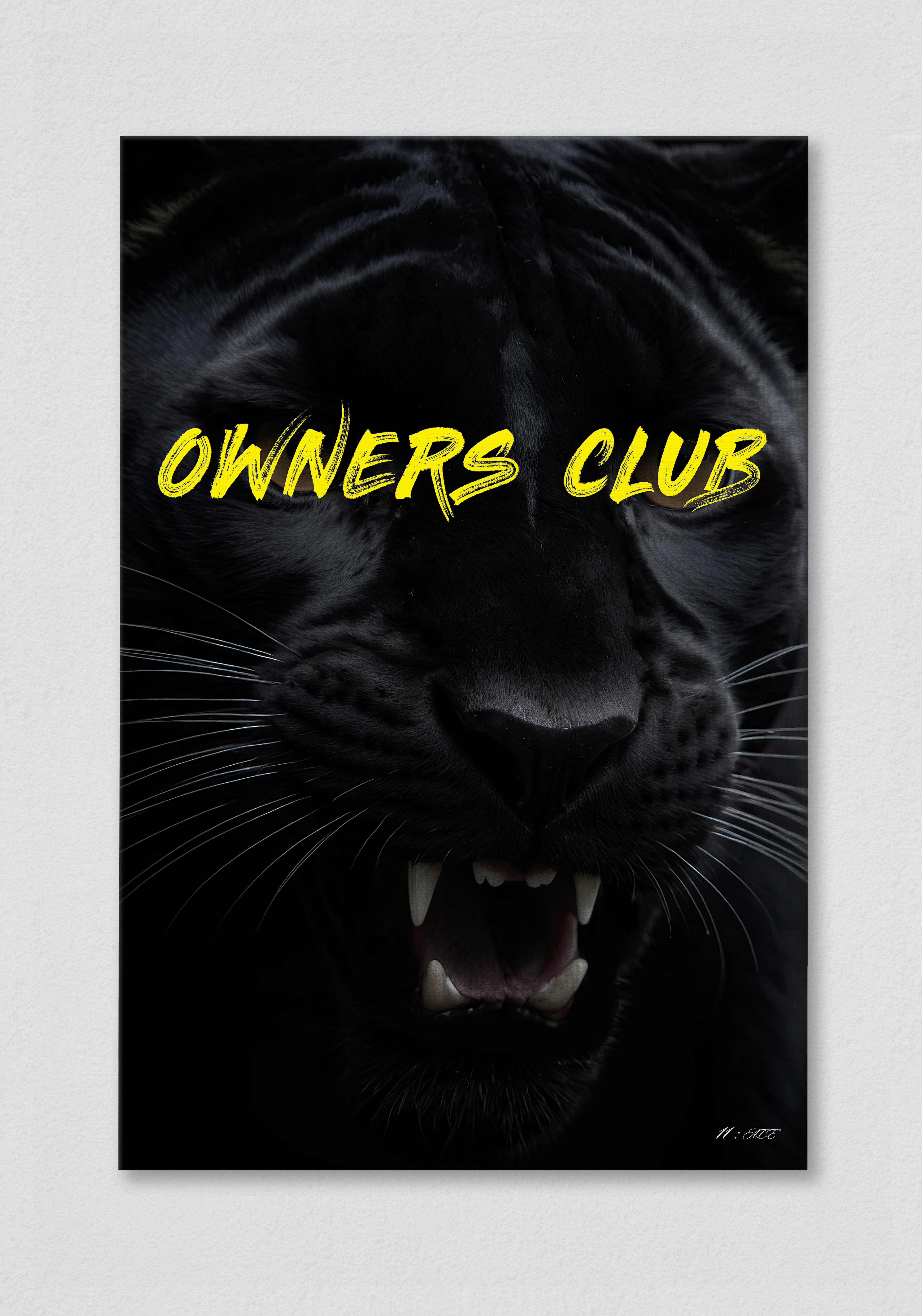 Owners Club & Ringside V.1