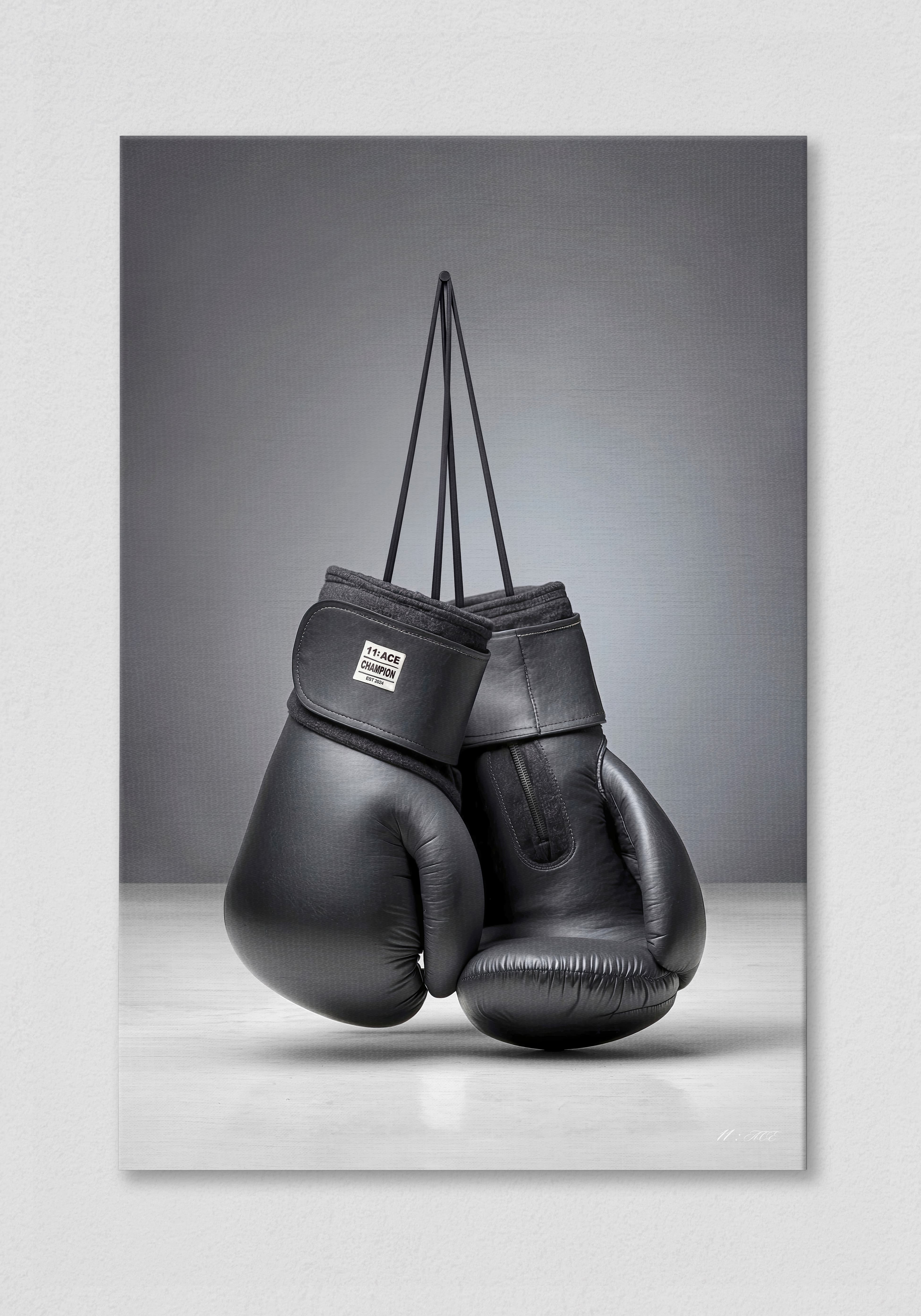 Owners Club & Ringside V.1