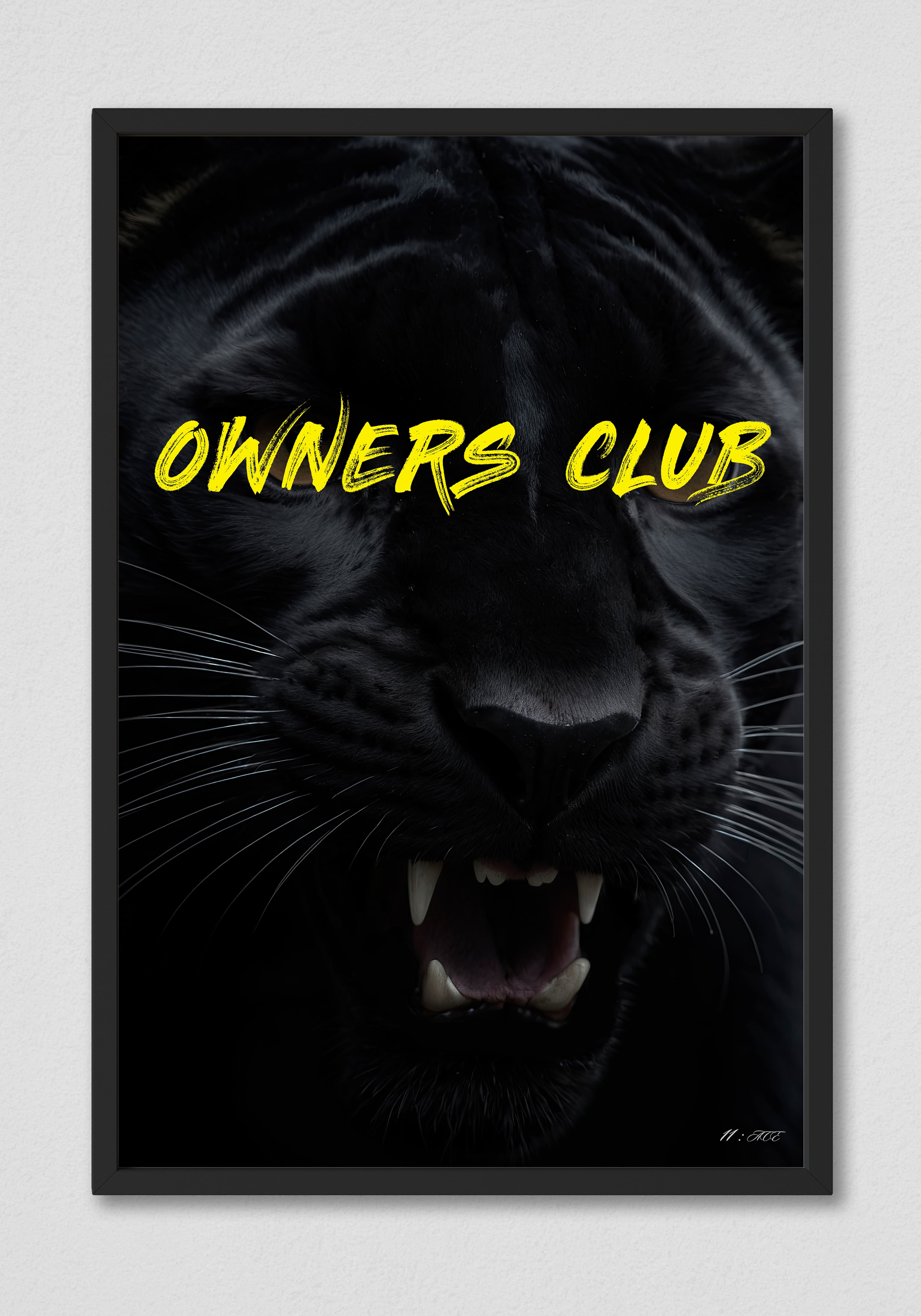 Owners Club