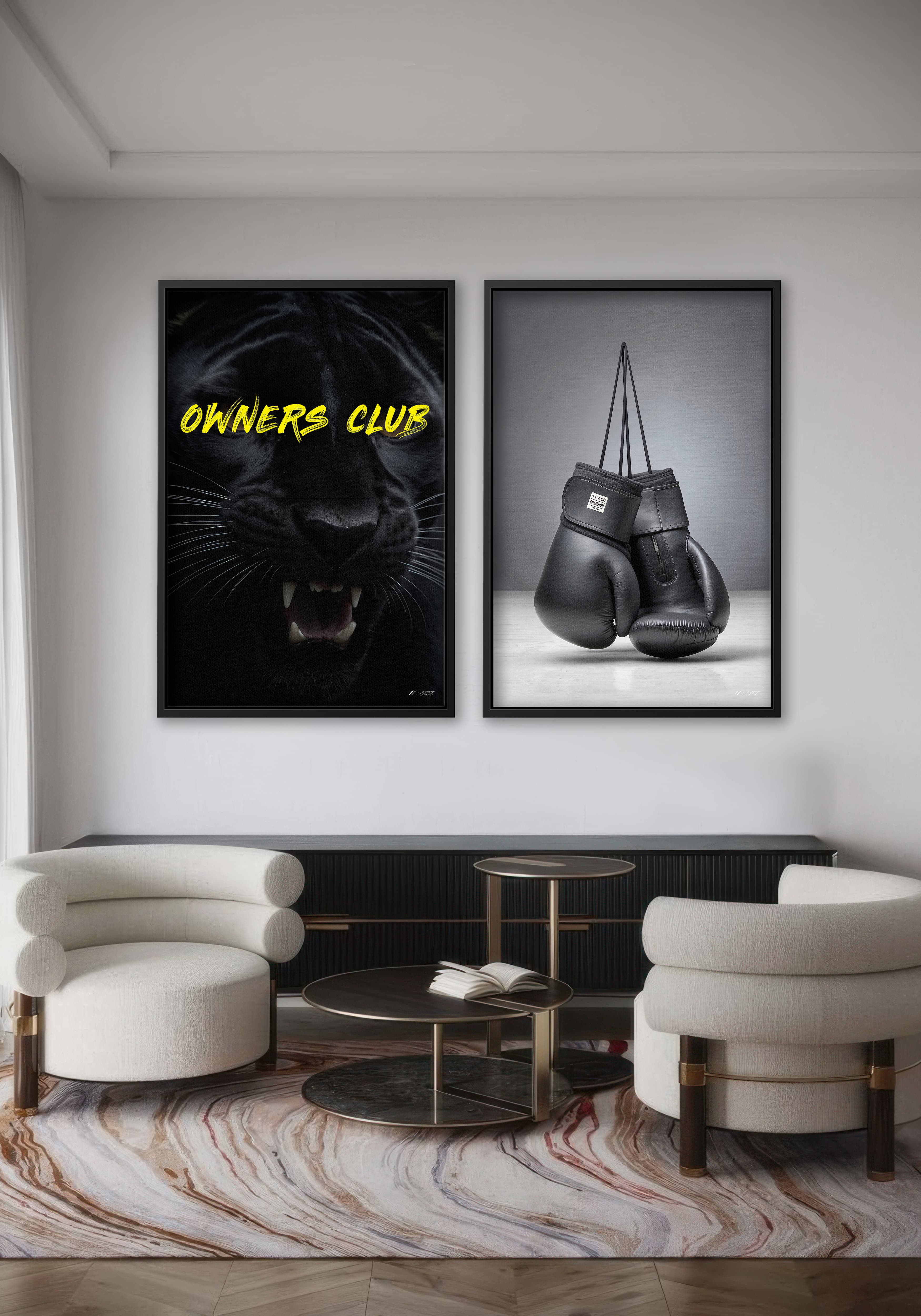 Owners Club & Ringside V.1