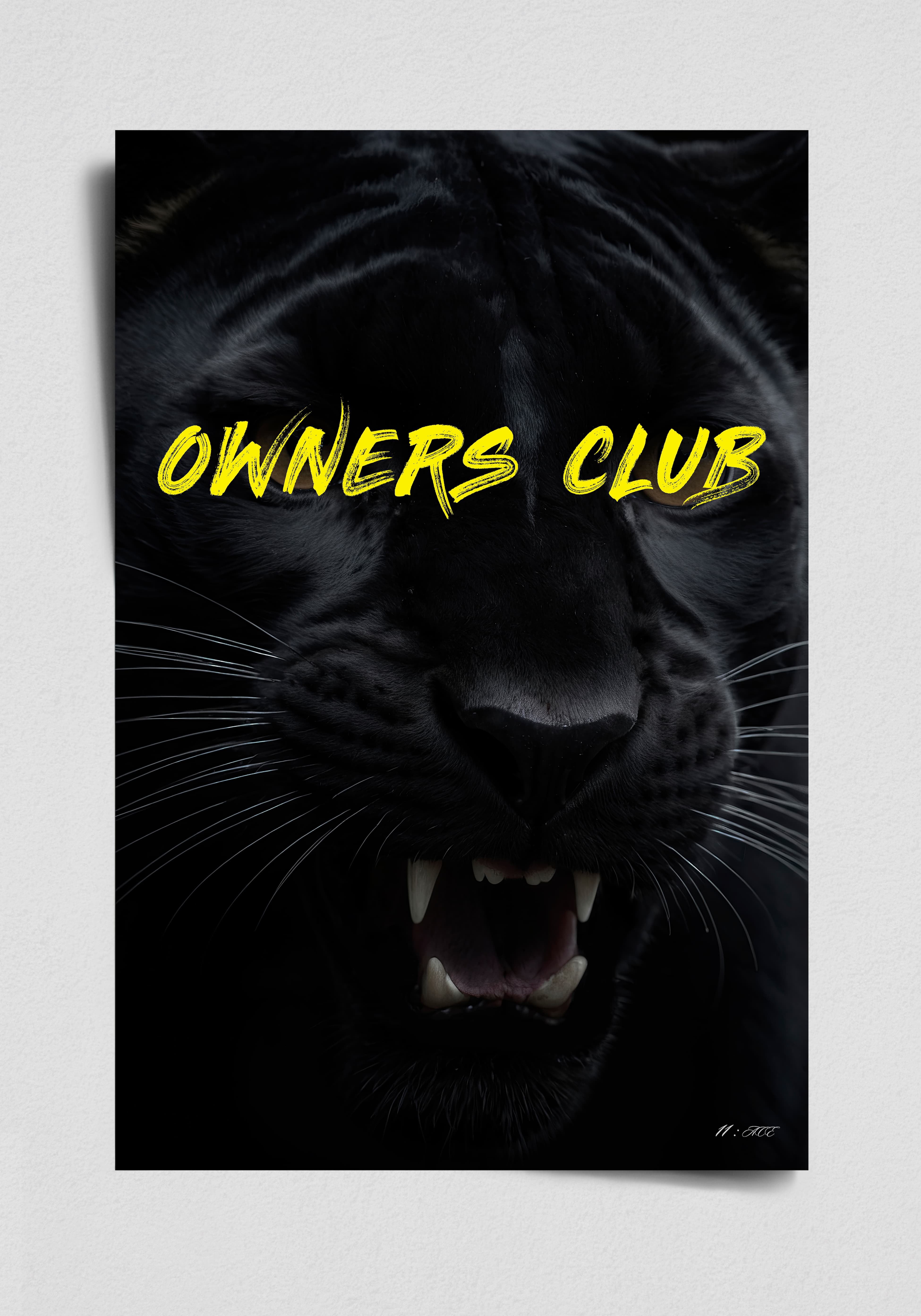 Owners Club